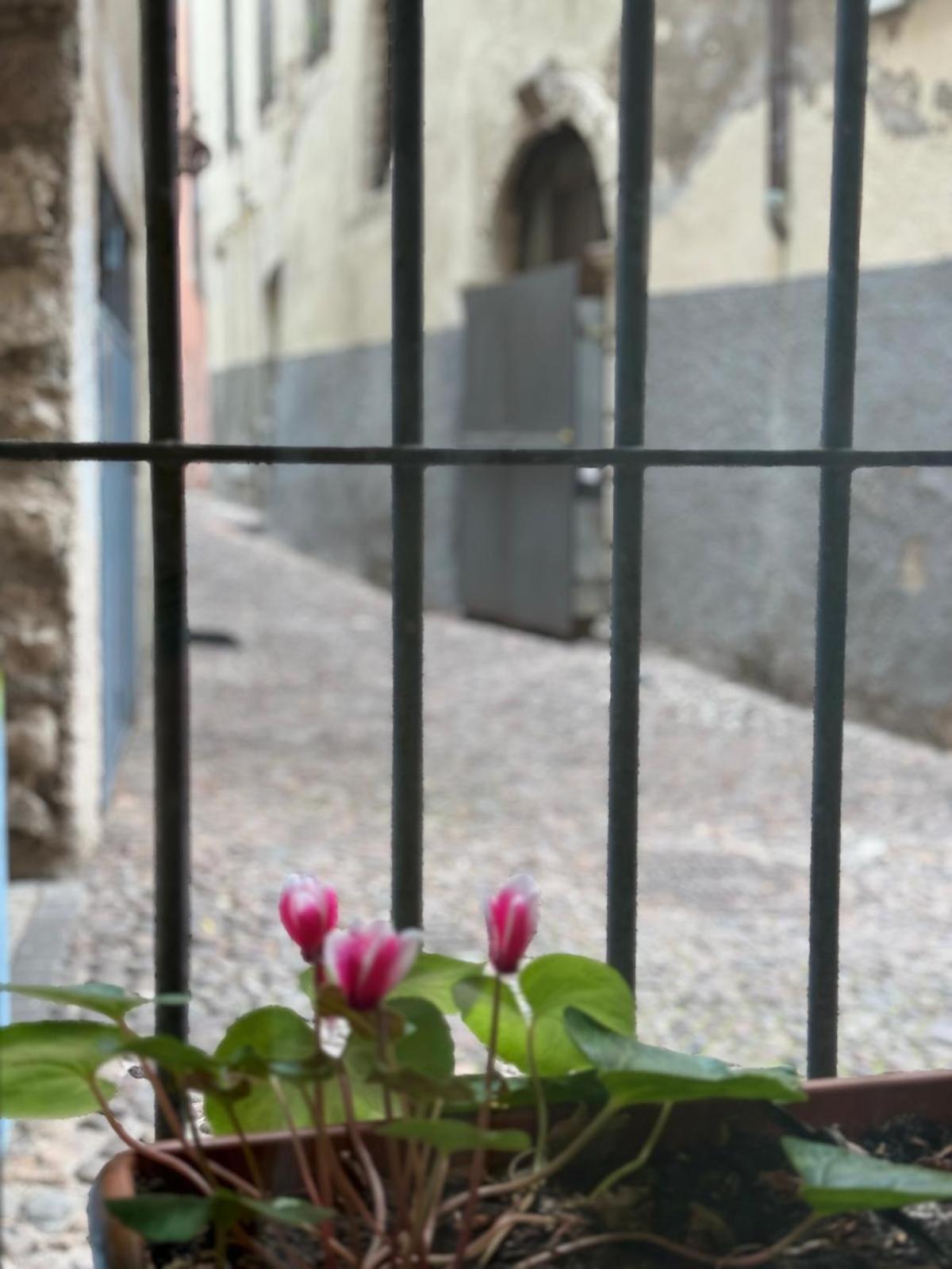 Duomo Nest Entire Apartment Trento Bagian luar foto